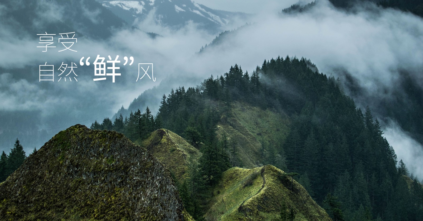 颯多大的、爽.jpg